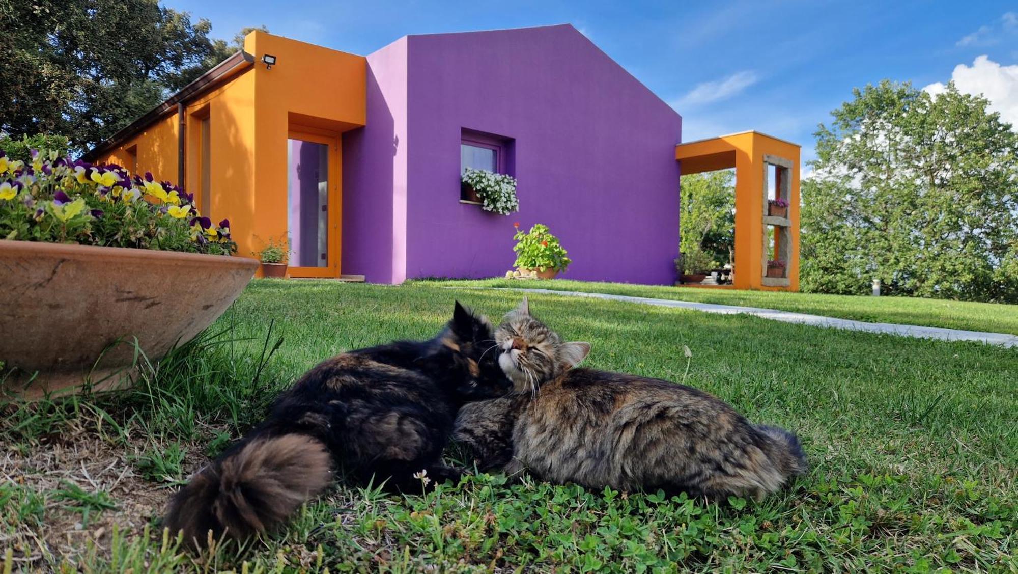 Limbara Dreaming Hotel Tempio Pausania Exterior photo